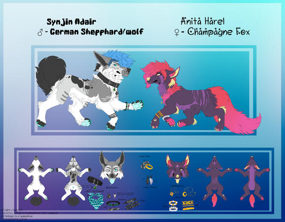 tier 1 with addon's (