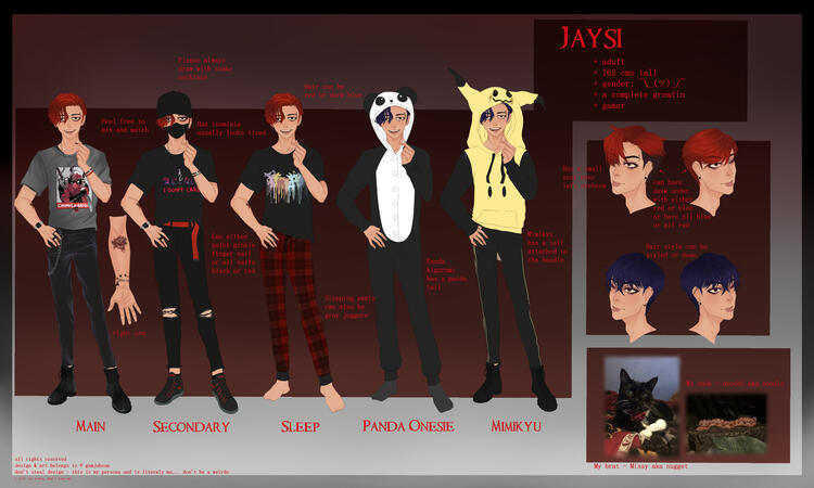 tier 1 with addon's ($155)